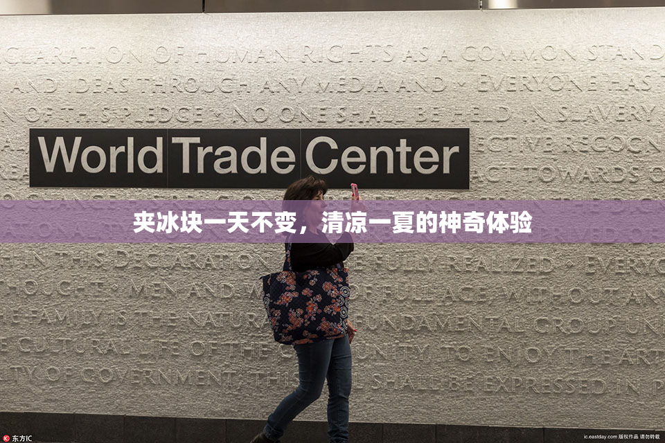 夹冰块一天不变，清凉一夏的神奇体验