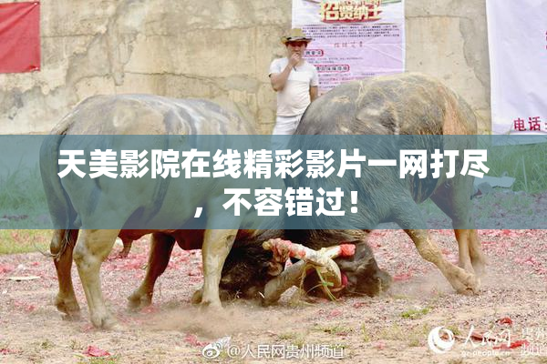 天美影院在线精彩影片一网打尽，不容错过！