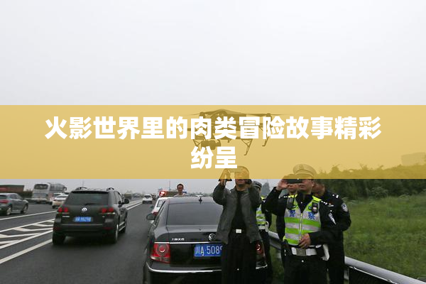火影世界里的肉类冒险故事精彩纷呈