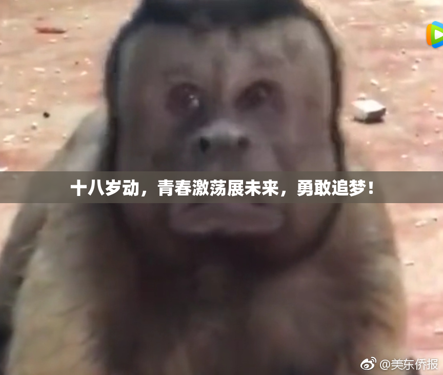 十八岁动，青春激荡展未来，勇敢追梦！