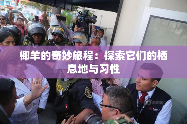 椰羊的奇妙旅程：探索它们的栖息地与习性
