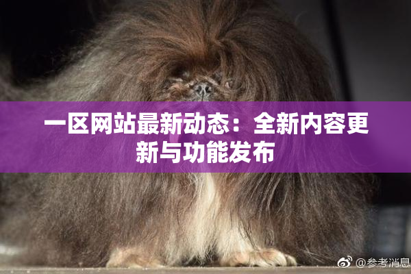 一区网站最新动态：全新内容更新与功能发布