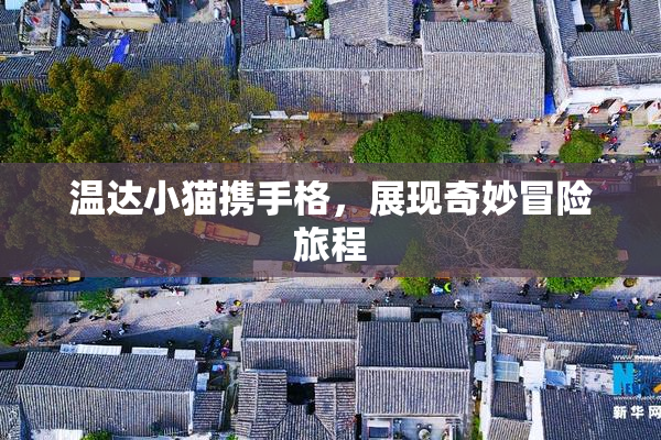 温达小猫携手格，展现奇妙冒险旅程