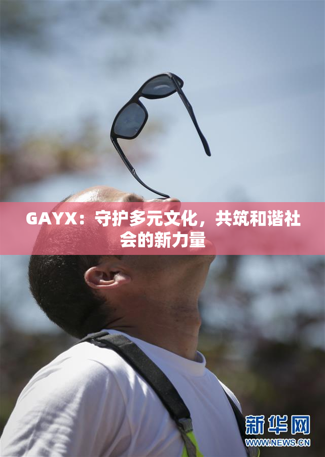 GAYX：守护多元文化，共筑和谐社会的新力量