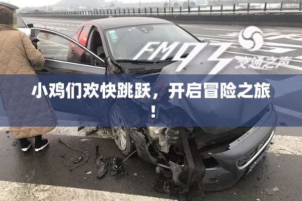 小鸡们欢快跳跃，开启冒险之旅！