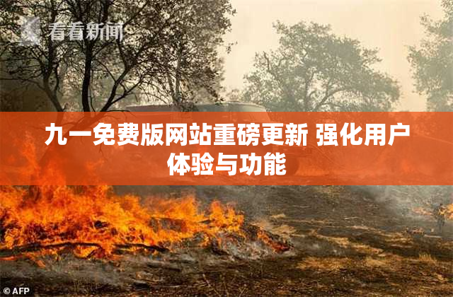 九一免费版网站重磅更新 强化用户体验与功能