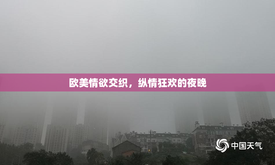 欧美情欲交织，纵情狂欢的夜晚