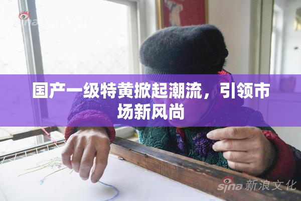 国产一级特黄掀起潮流，引领市场新风尚