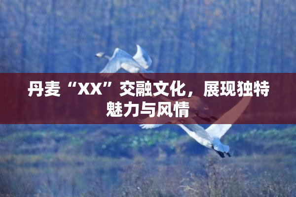 丹麦“XX”交融文化，展现独特魅力与风情