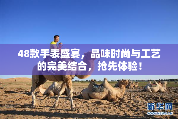 48款手表盛宴，品味时尚与工艺的完美结合，抢先体验！