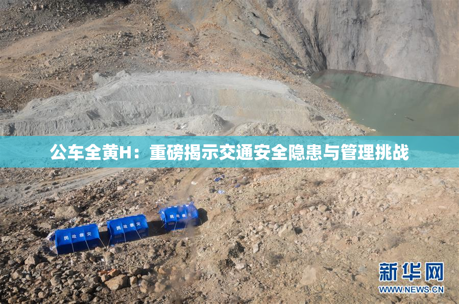 公车全黄H：重磅揭示交通安全隐患与管理挑战