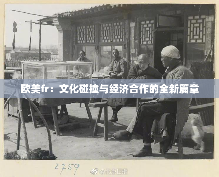 欧美fr：文化碰撞与经济合作的全新篇章