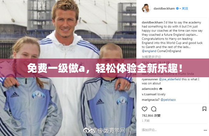 免费一级做a，轻松体验全新乐趣！