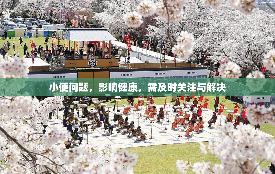 小便问题，影响健康，需及时关注与解决