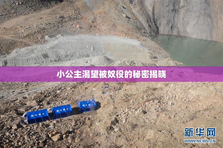 小公主渴望被奴役的秘密揭晓