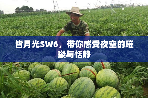 皆月光SW6，带你感受夜空的璀璨与恬静