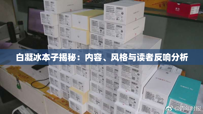 白凝冰本子揭秘：内容、风格与读者反响分析