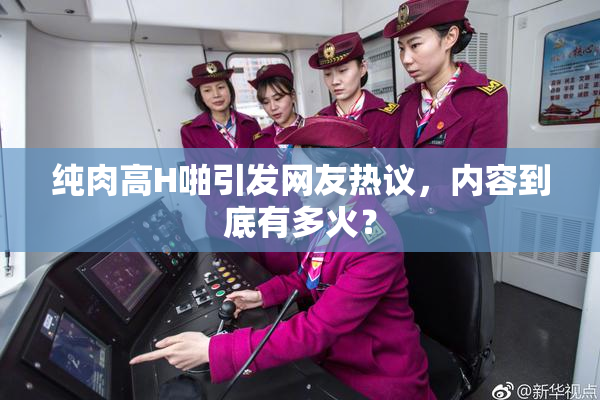 纯肉高H啪引发网友热议，内容到底有多火？