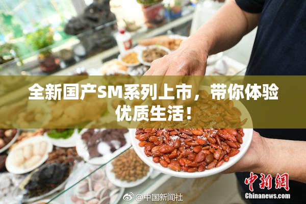 全新国产SM系列上市，带你体验优质生活！
