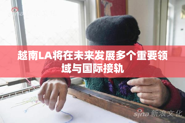 越南LA将在未来发展多个重要领域与国际接轨