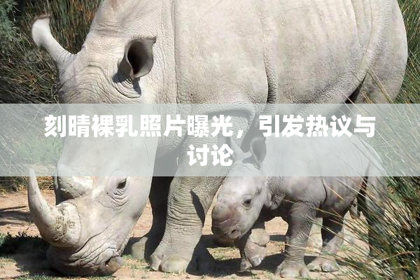 刻晴裸乳照片曝光，引发热议与讨论