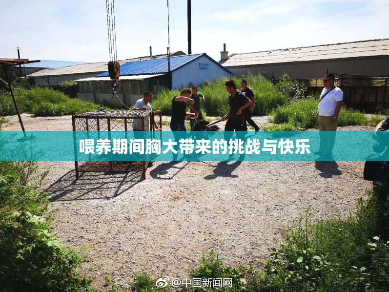 喂养期间胸大带来的挑战与快乐