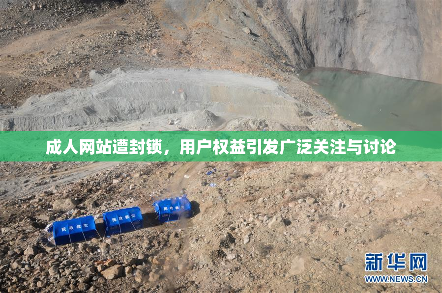成人网站遭封锁，用户权益引发广泛关注与讨论