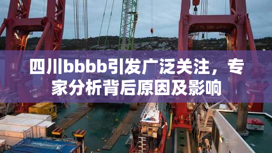 四川bbbb引发广泛关注，专家分析背后原因及影响