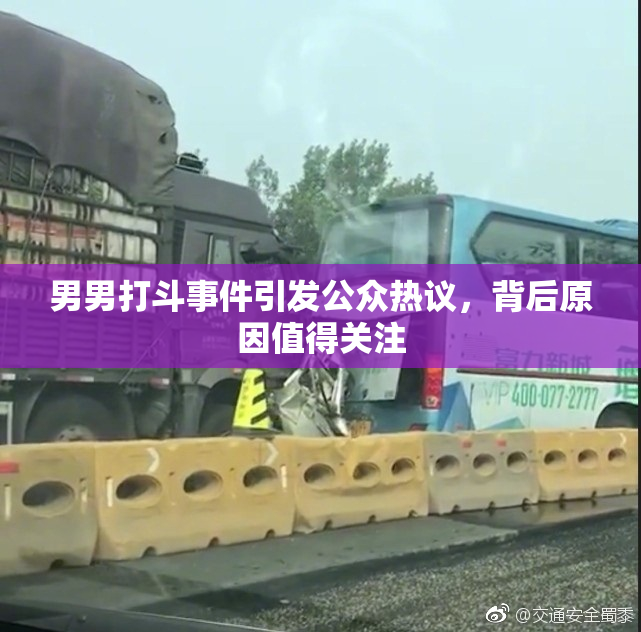 男男打斗事件引发公众热议，背后原因值得关注