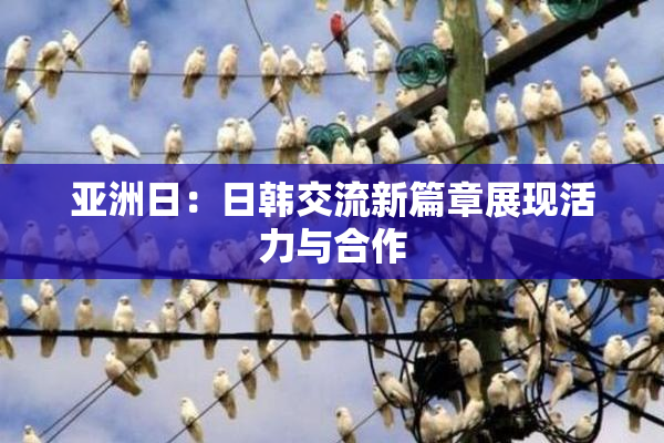 亚洲日：日韩交流新篇章展现活力与合作