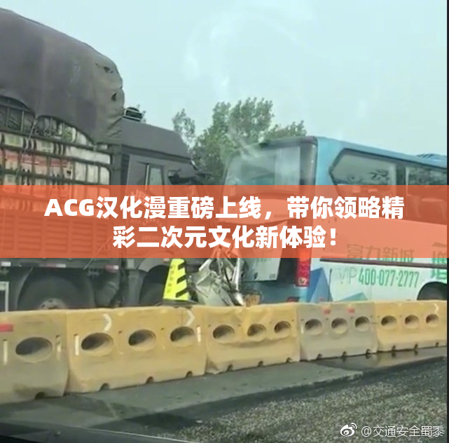 ACG汉化漫重磅上线，带你领略精彩二次元文化新体验！