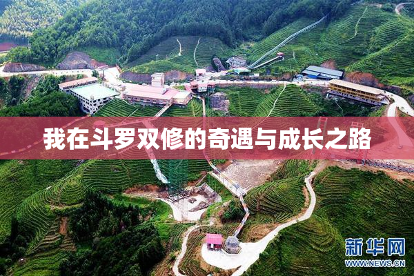 我在斗罗双修的奇遇与成长之路
