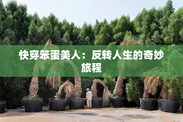 快穿笨蛋美人：反转人生的奇妙旅程