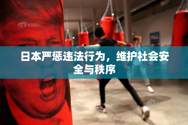 日本严惩违法行为，维护社会安全与秩序