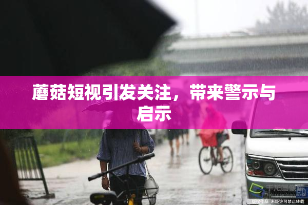 蘑菇短视引发关注，带来警示与启示