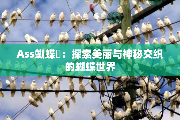 Ass蝴蝶泬：探索美丽与神秘交织的蝴蝶世界