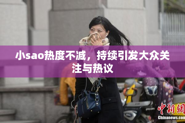 小sao热度不减，持续引发大众关注与热议