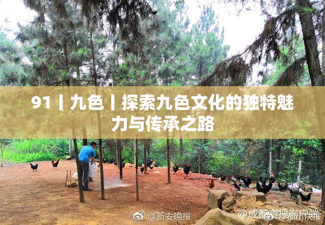 91丨九色丨探索九色文化的独特魅力与传承之路