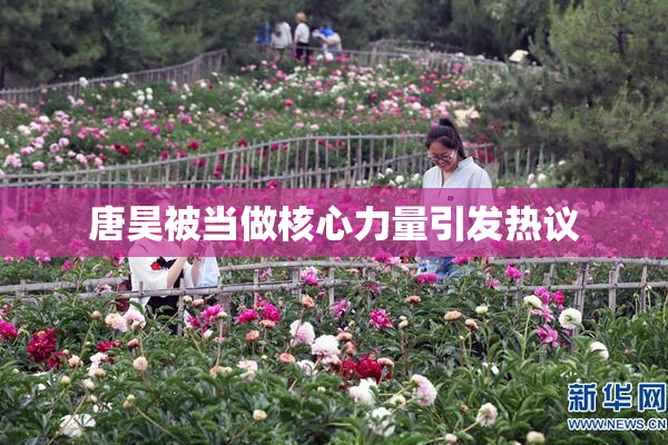 唐昊被当做核心力量引发热议