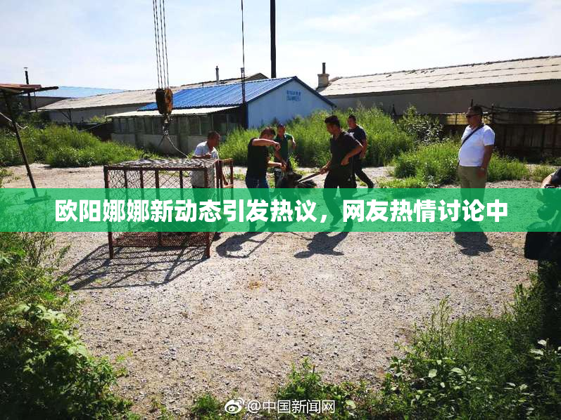 欧阳娜娜新动态引发热议，网友热情讨论中