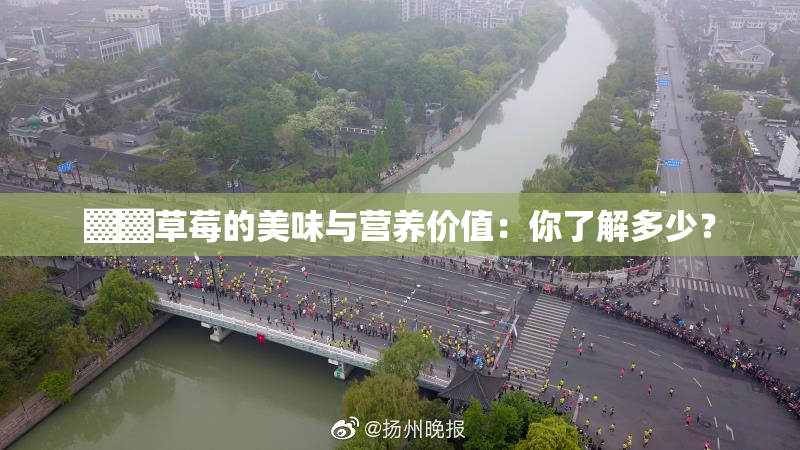 ▓▓草莓的美味与营养价值：你了解多少？