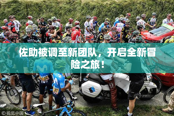 佐助被调至新团队，开启全新冒险之旅！