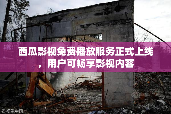 西瓜影视免费播放服务正式上线，用户可畅享影视内容