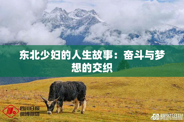 东北少妇的人生故事：奋斗与梦想的交织