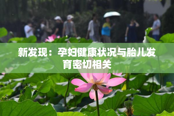 新发现：孕妇健康状况与胎儿发育密切相关
