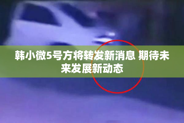 韩小微5号方将转发新消息 期待未来发展新动态