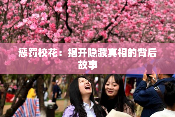 惩罚校花：揭开隐藏真相的背后故事
