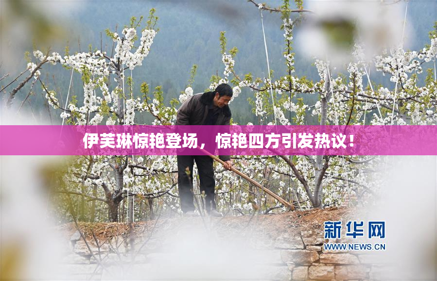 伊芙琳惊艳登场，惊艳四方引发热议！
