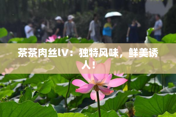 茶茶肉丝lV：独特风味，鲜美诱人！