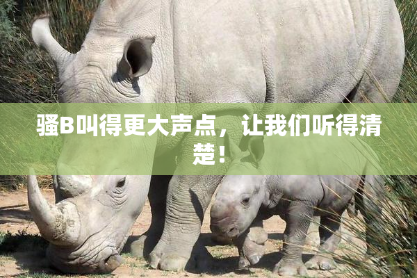 骚B叫得更大声点，让我们听得清楚！